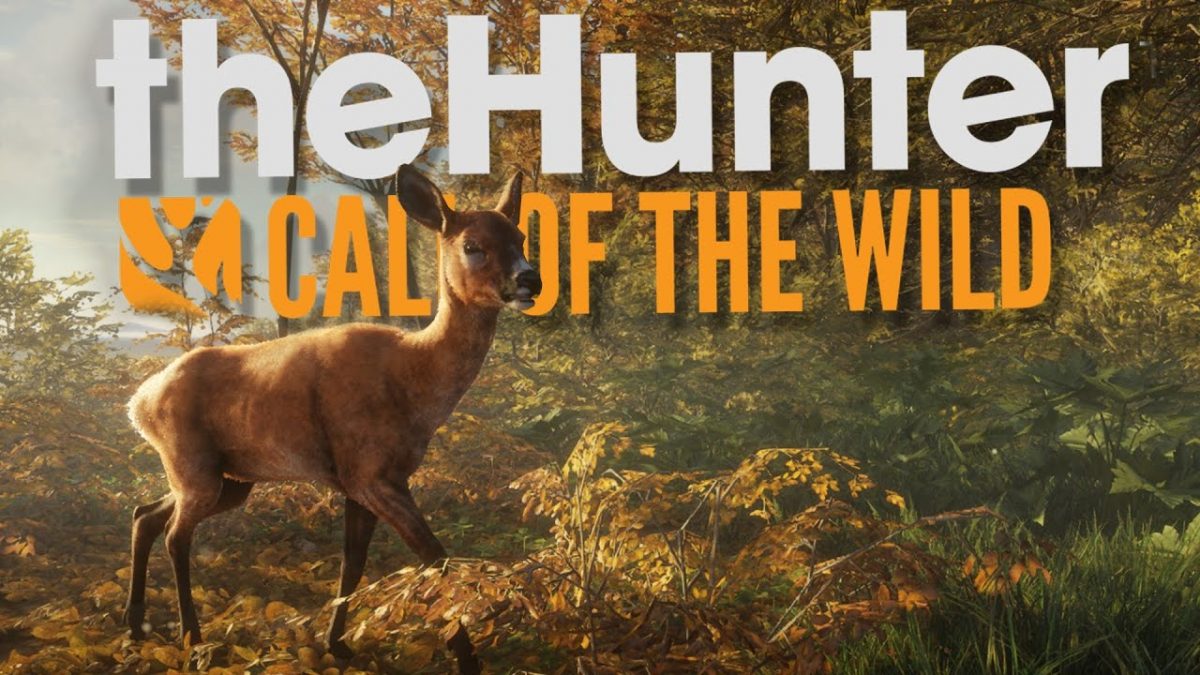 deer hunter game download paid