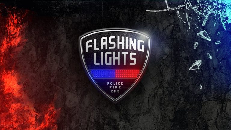 Flashing Lights - Police, Firefighting, Emergency Services Simulator Free Download