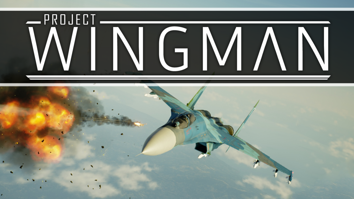 games like project wingman download