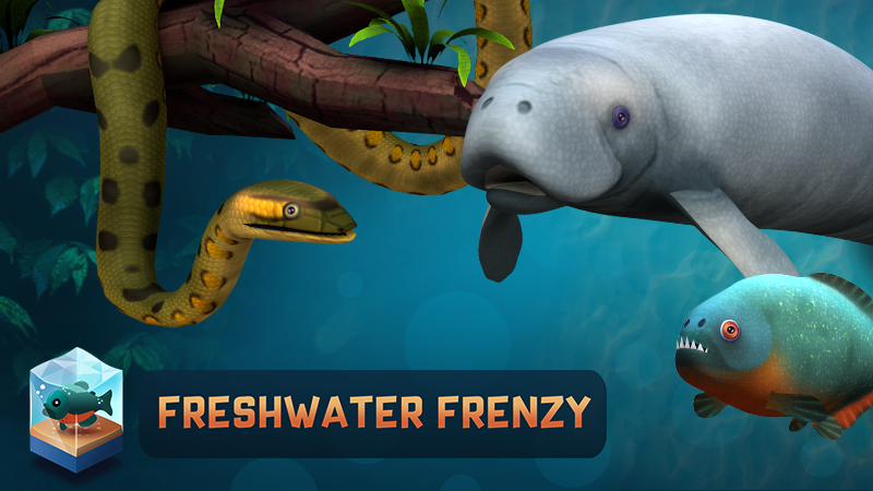 Megaquarium Freshwater Frenzy Free Download