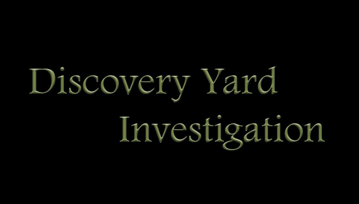 Discovery Yard Investigation Free Download GameTrex