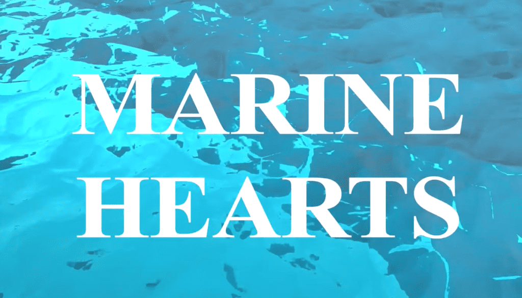 Marine Hearts Free Download