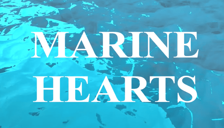 Marine Hearts Free Download