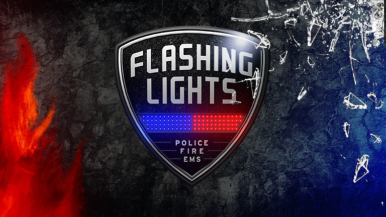 Flashing Lights - Police, Firefighting, Emergency Services (EMS) Simulator Free Download